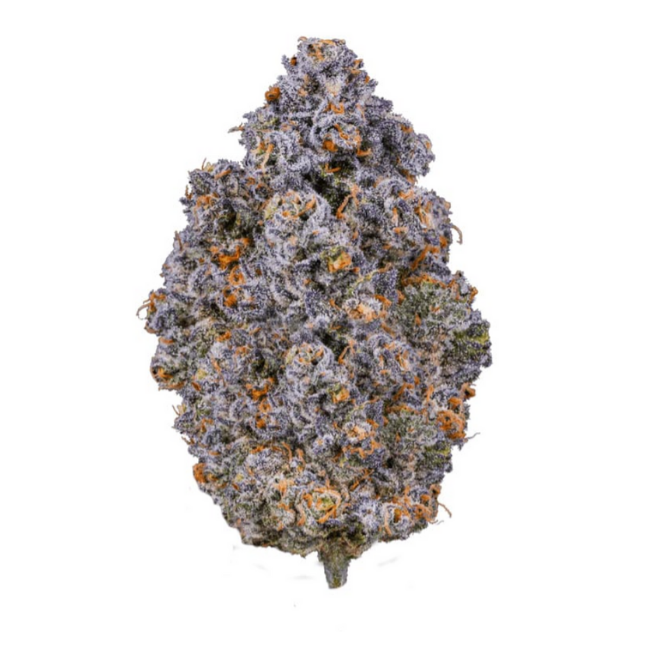 Cocolato 1/2 OZ Exotic Special