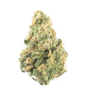 Do-Si-Dos – Premium