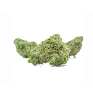 Hells Angel OZ Special