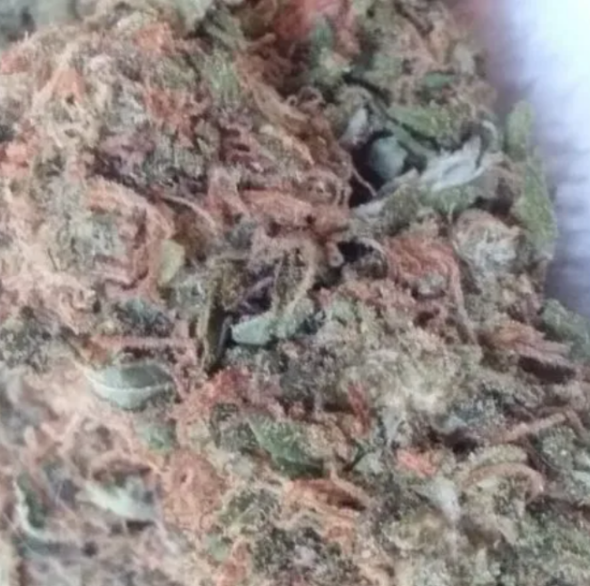 Hindu Kush – ZAZA