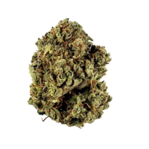 Laughing Buddha – Premium
