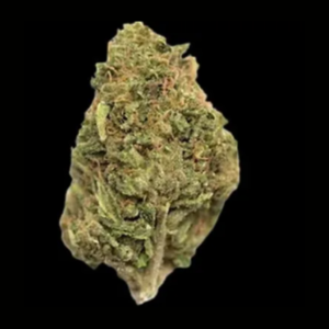 Northern Lights – Top Shelf