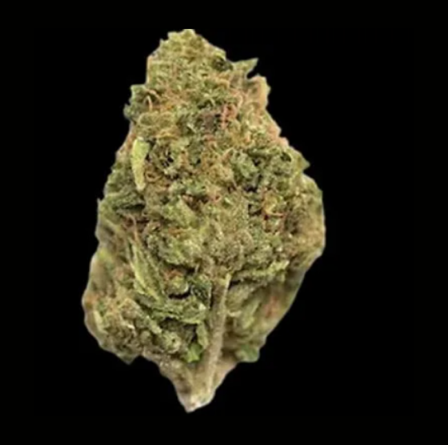 Northern Lights – Top Shelf