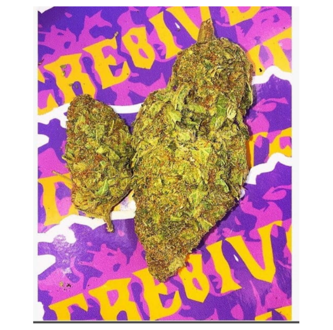 Orange Daiquiri – Premium