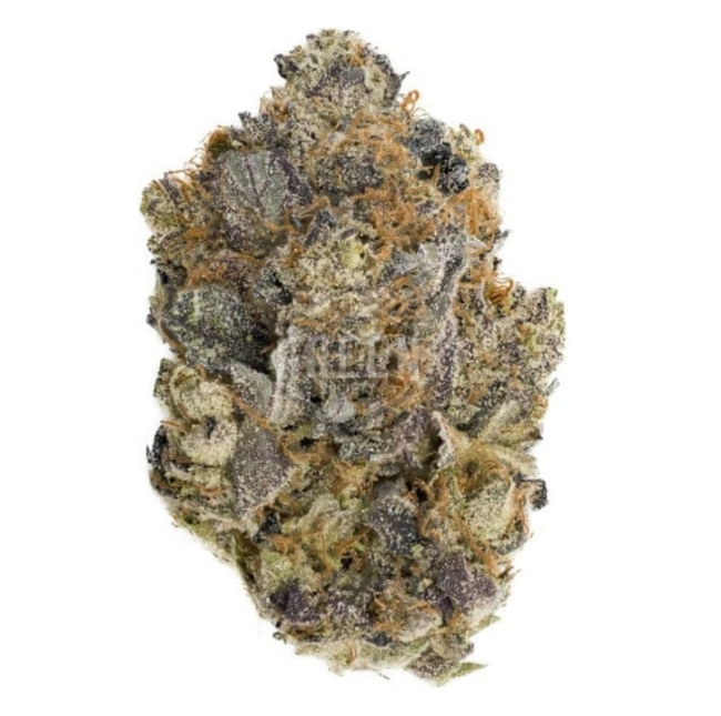 Original Gorilla Glue – Exotic