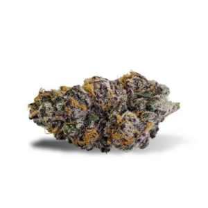 Purple Punch – Exotic