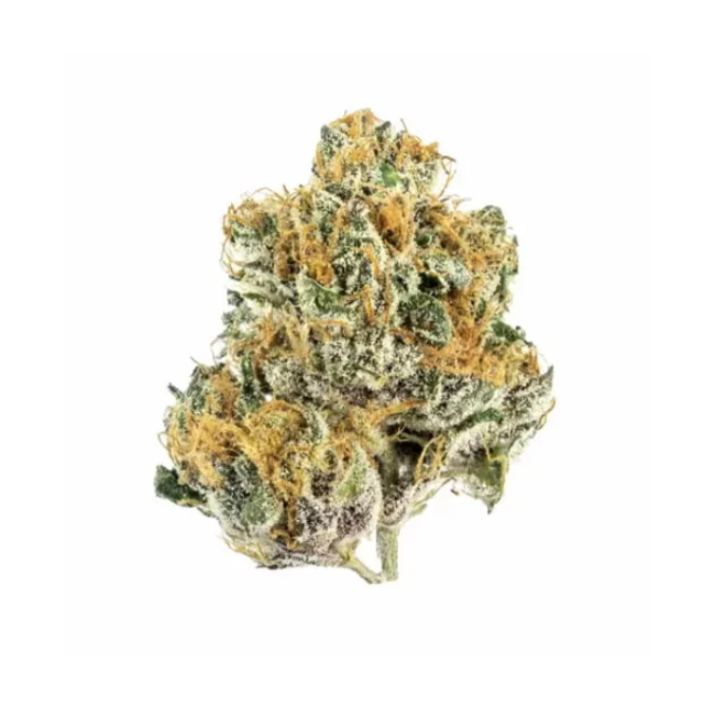 Tropicana – Premium